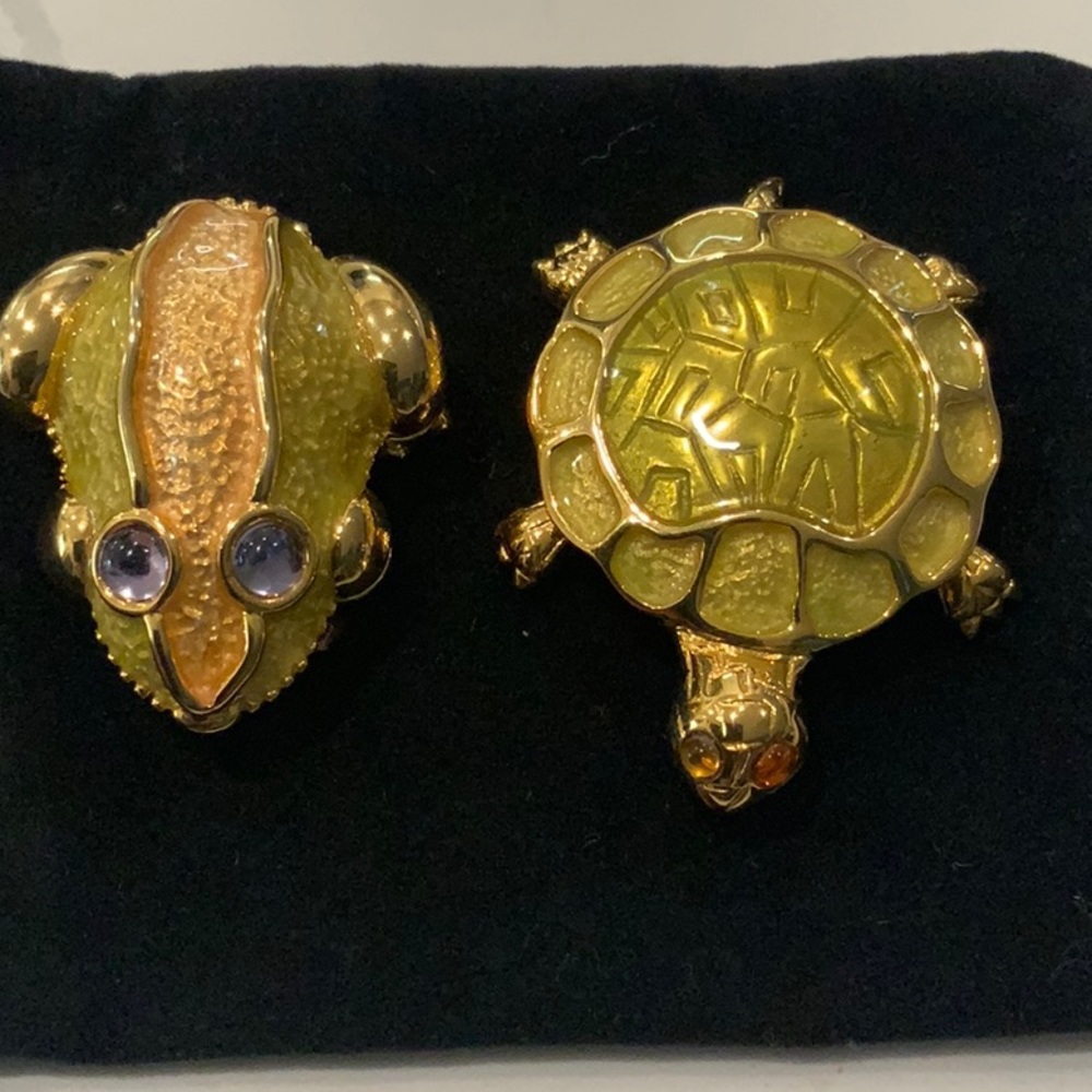 Turtle and Frog Pill box set